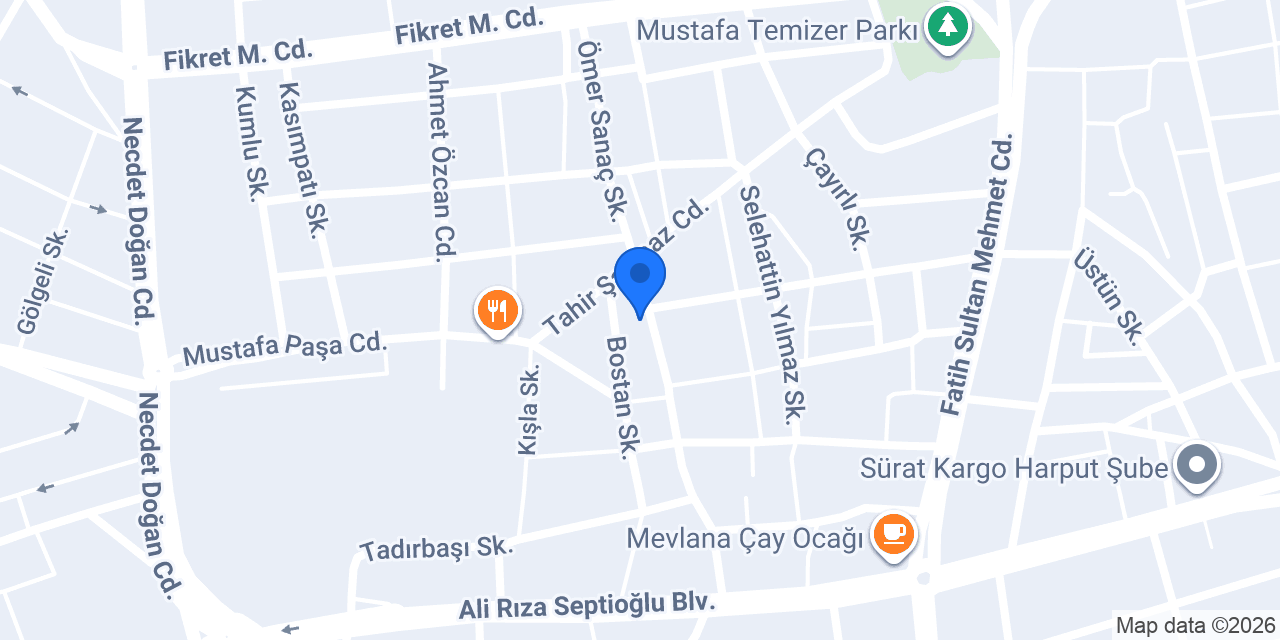 ELAZIĞ DEDEKTÖR konumu
