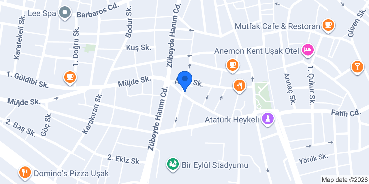 CTR Chicken Uşak konumu
