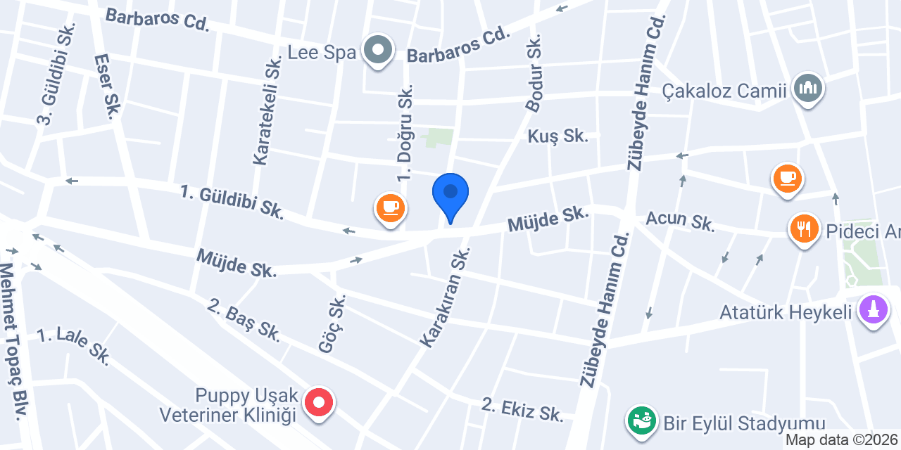 Anahtarcı Çilingir Uşak konumu
