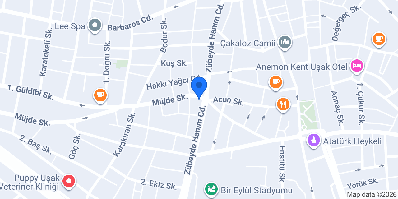Uşak Kuzey Emlak konumu