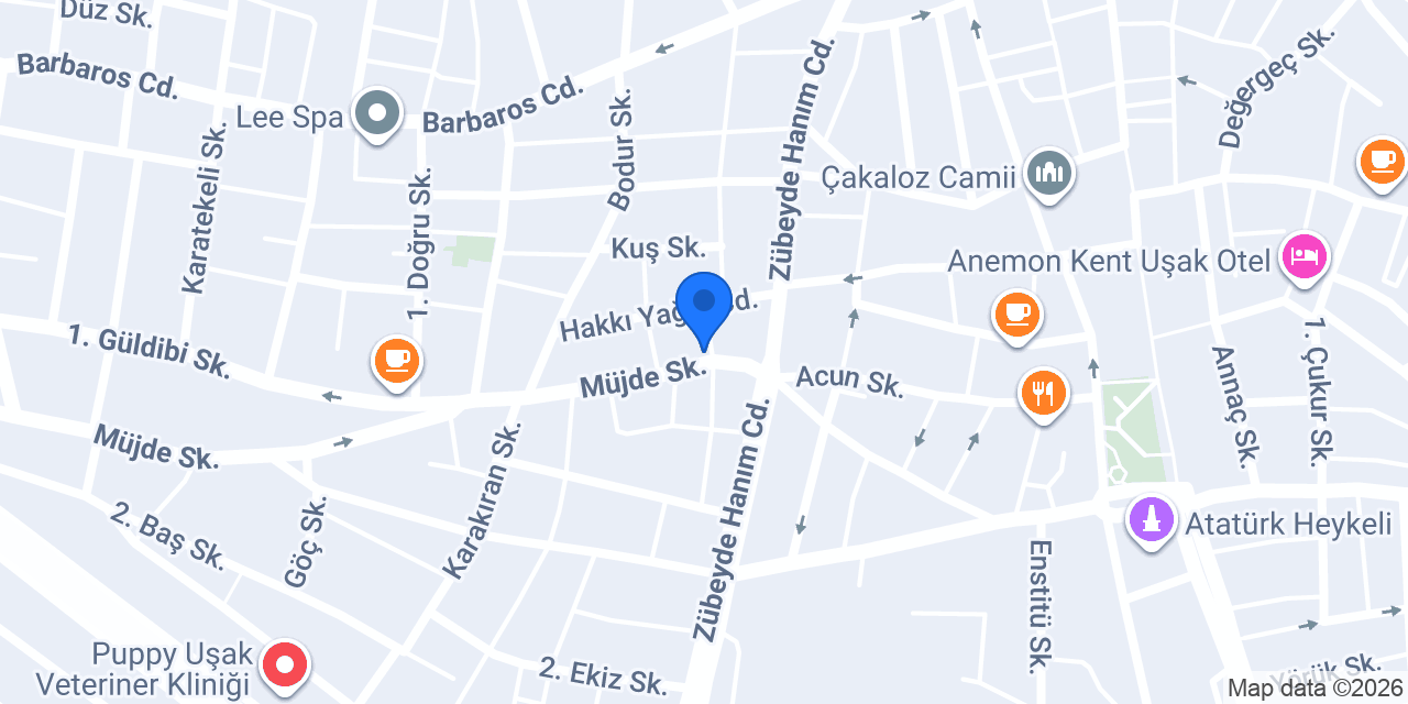 Panino Pizza Uşak Merkez konumu