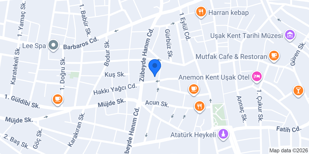 Arpacı Elektronik konumu