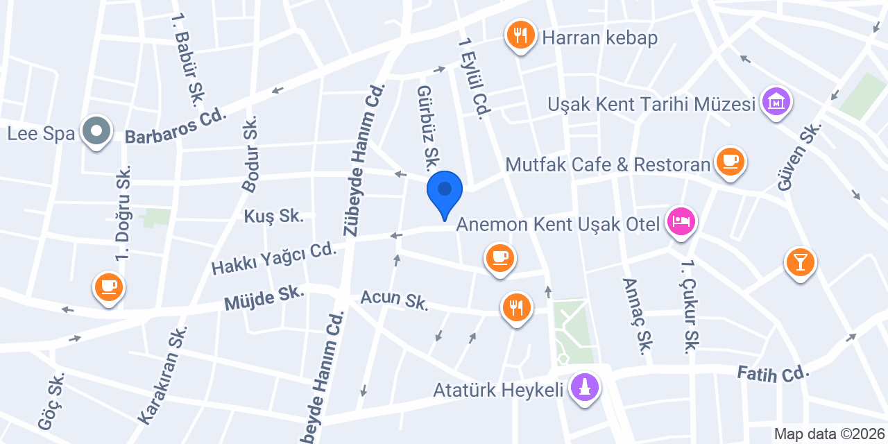 Elvan Terzi konumu