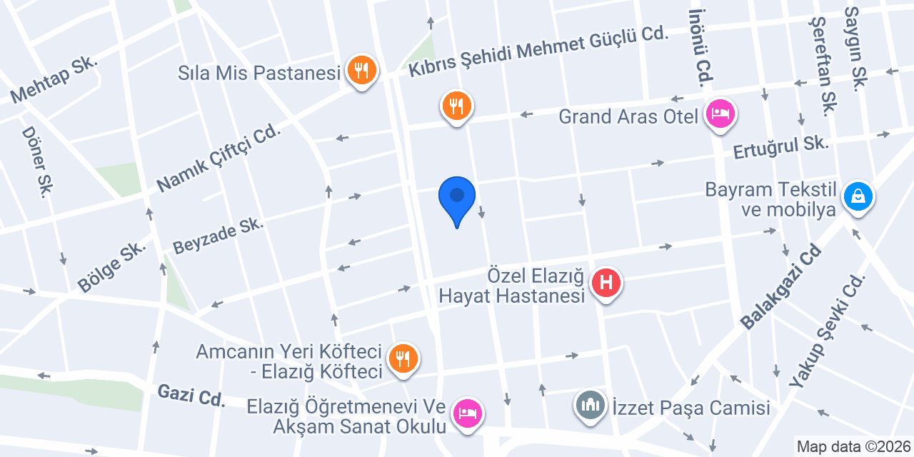 ARAS PANSİYON konumu