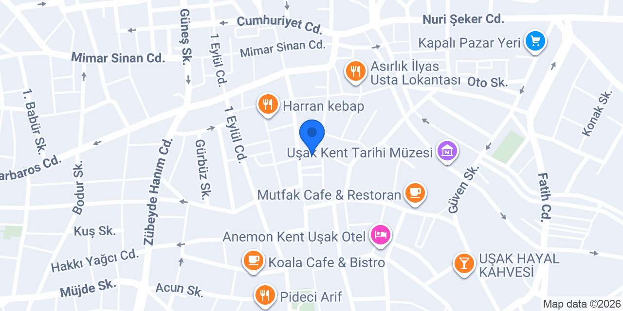 Bilge Psikoloji konumu