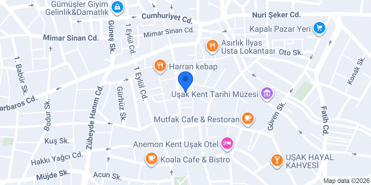 KAPLAN AYAKKABI konumu