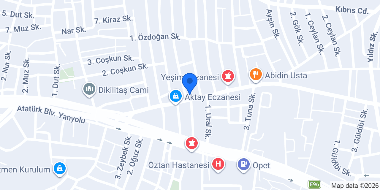 Elizan Elektrik konumu