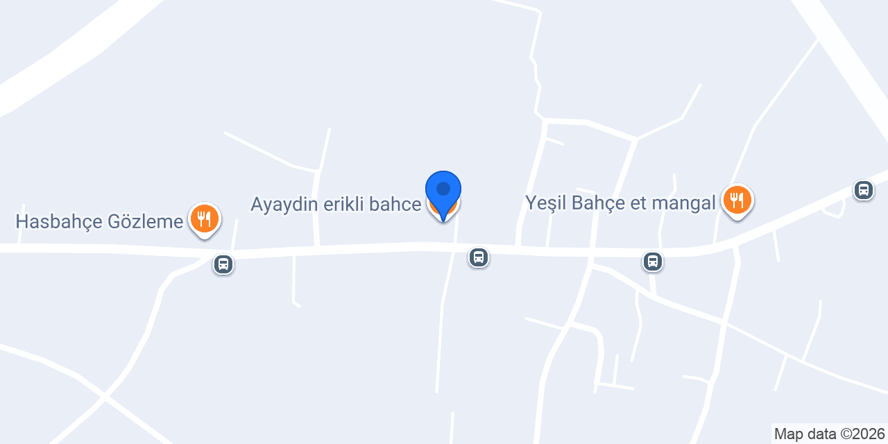 Ayaydin erikli bahce konumu