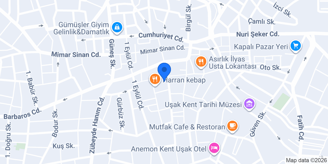 And Döviz ve Altın konumu