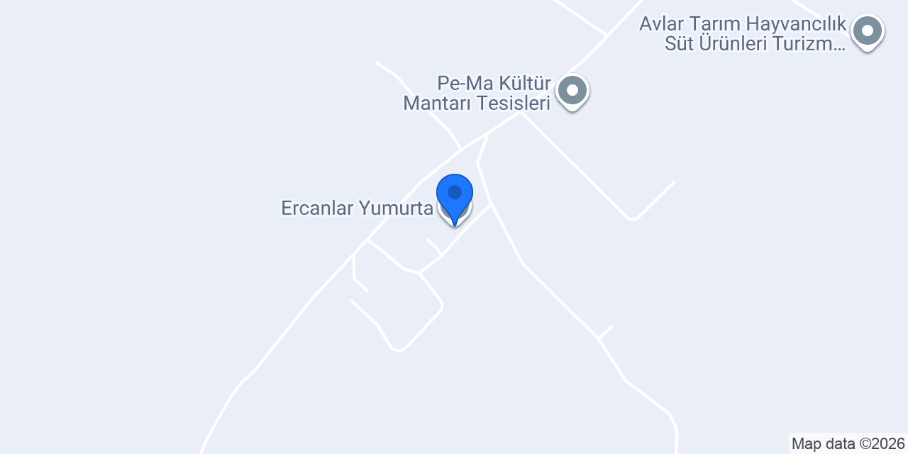 Ercanlar Yumurta konumu