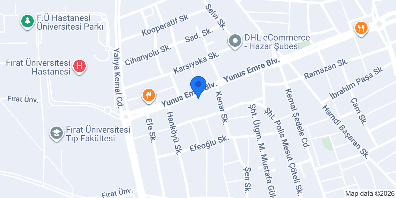 Western Union konumu