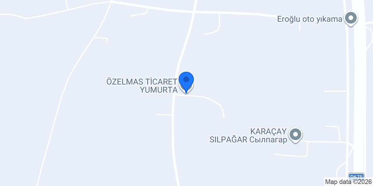 ÖZELMAS TİCARET YUMURTA konumu