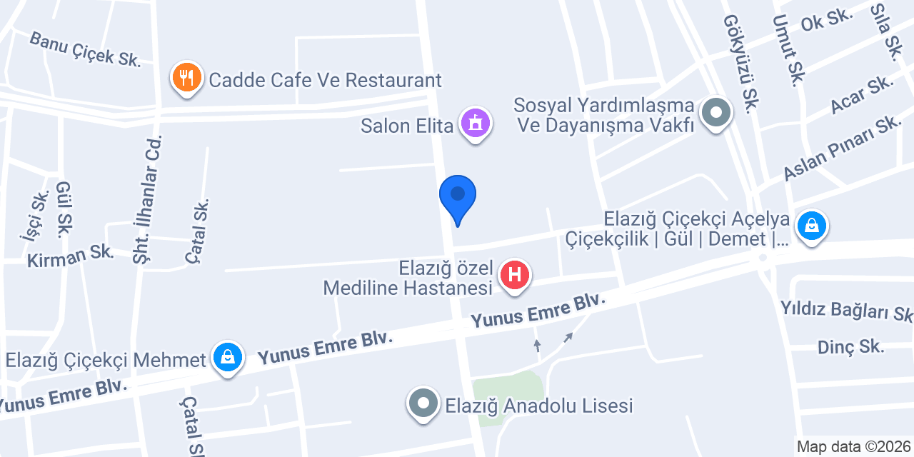Vip Tuncelililer - Elazığ konumu