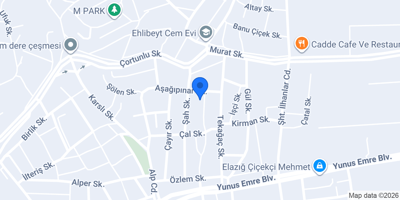 Alya dikim evi konumu