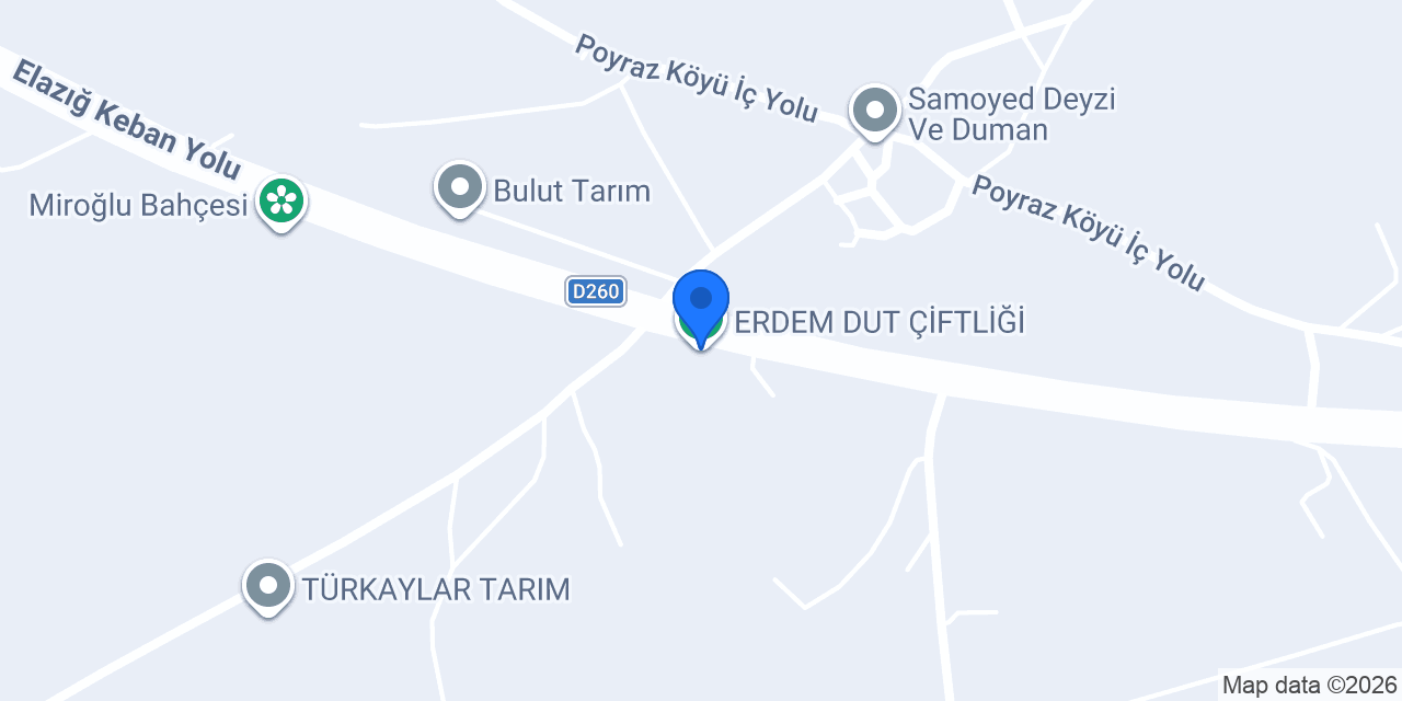 ERDEM DUT ÇİFTLİĞİ konumu