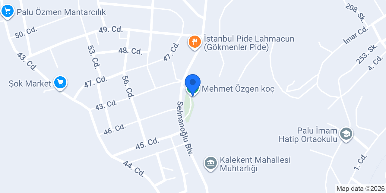 Mehmet Özgen koç konumu