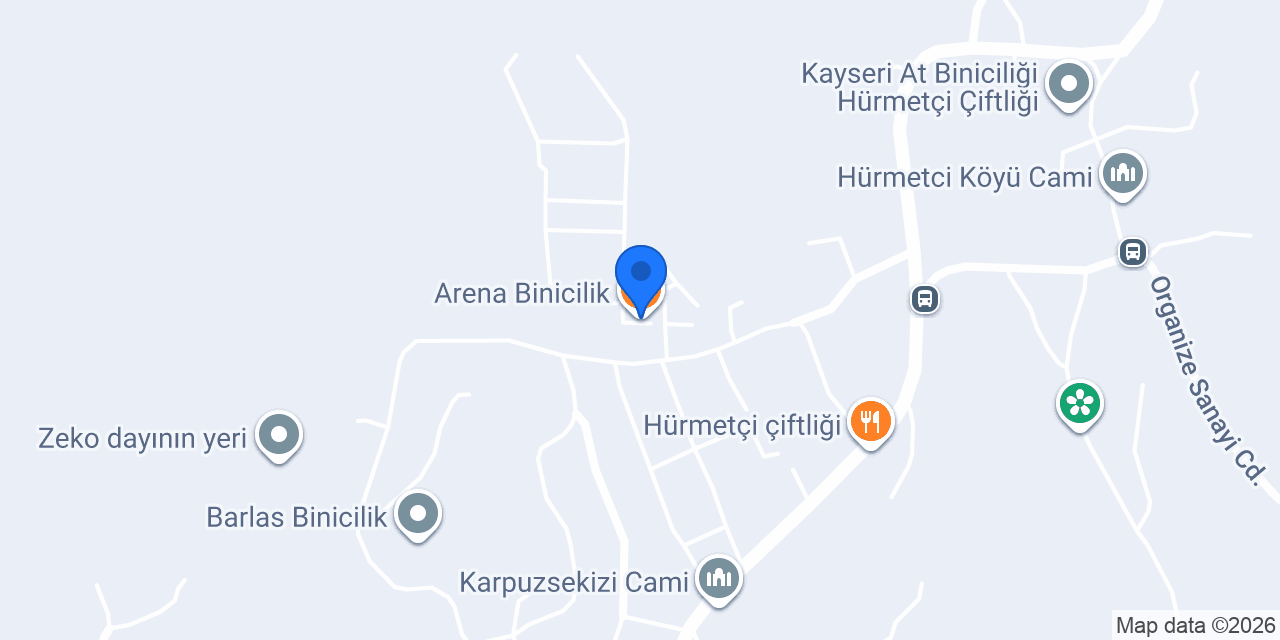 Arena Binicilik konumu