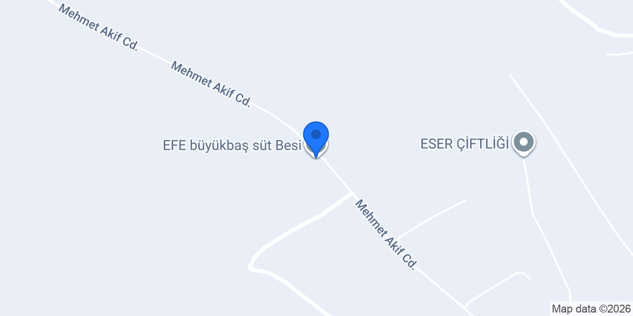 EFE büyükbaş süt Besi konumu