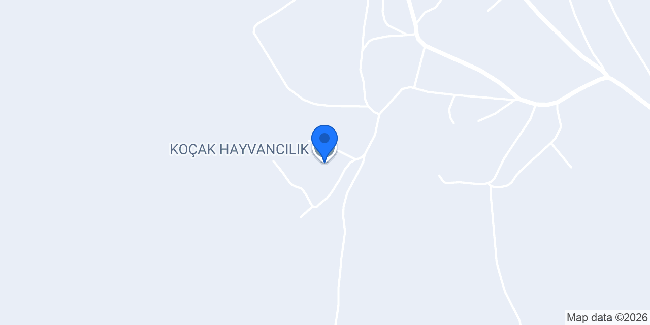 KOÇAK HAYVANCILIK konumu