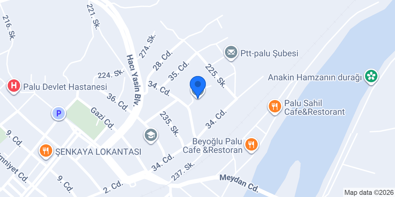 Palu Anadolu Lisesi konumu