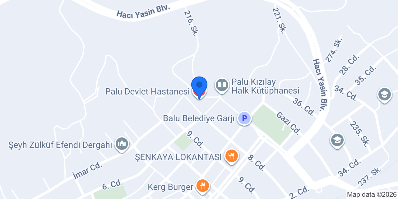 Palu Devlet Hastanesi konumu