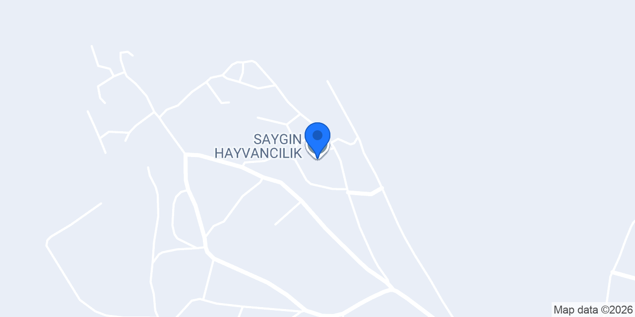 SAYGIN HAYVANCILIK konumu