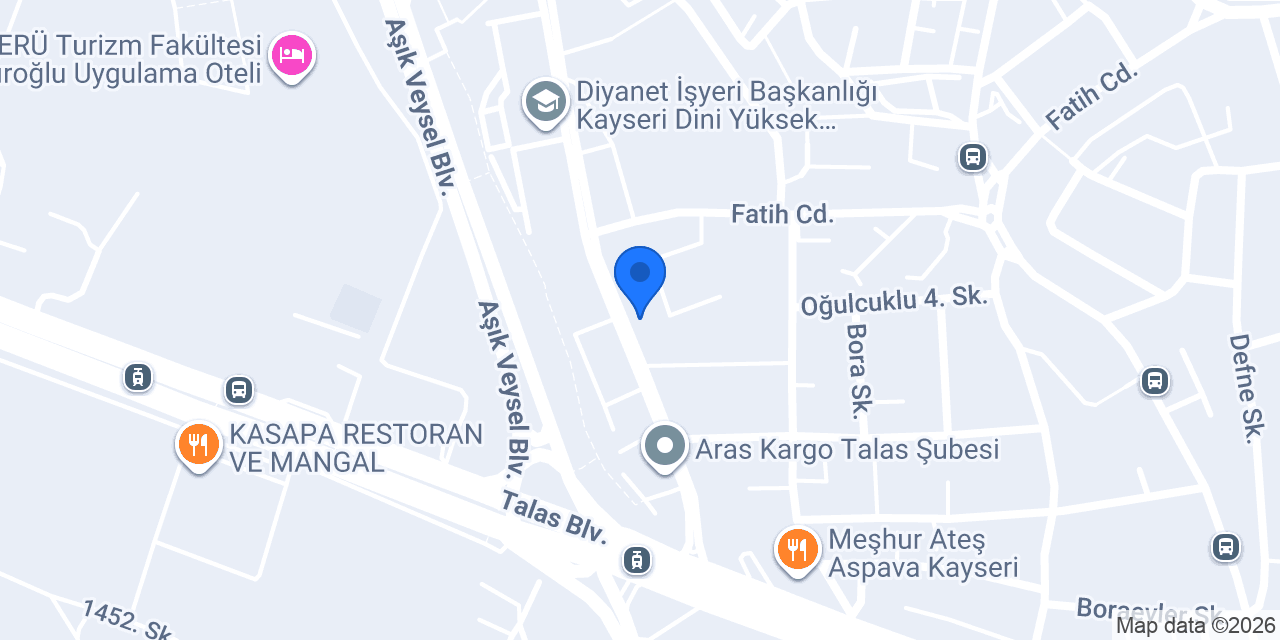 Ctr Chicken Kayseri konumu