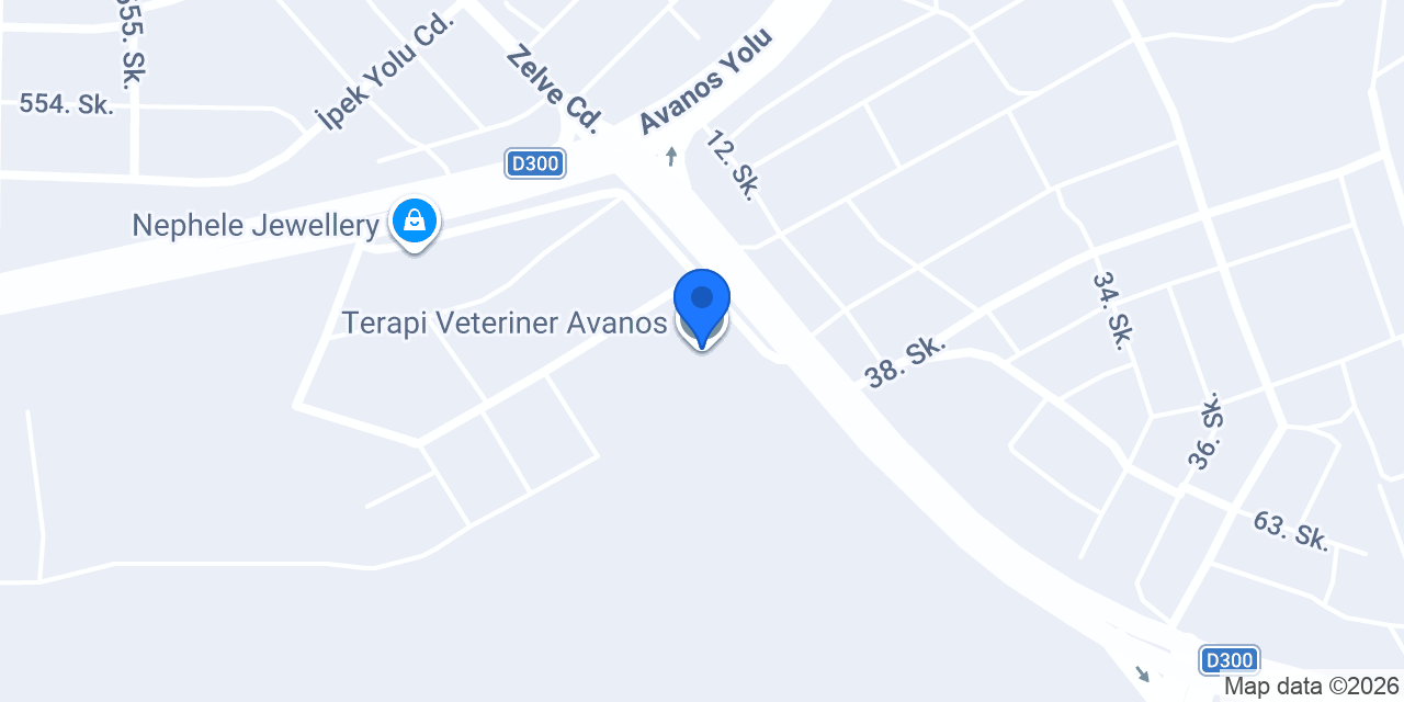 Terapi Veteriner Avanos konumu