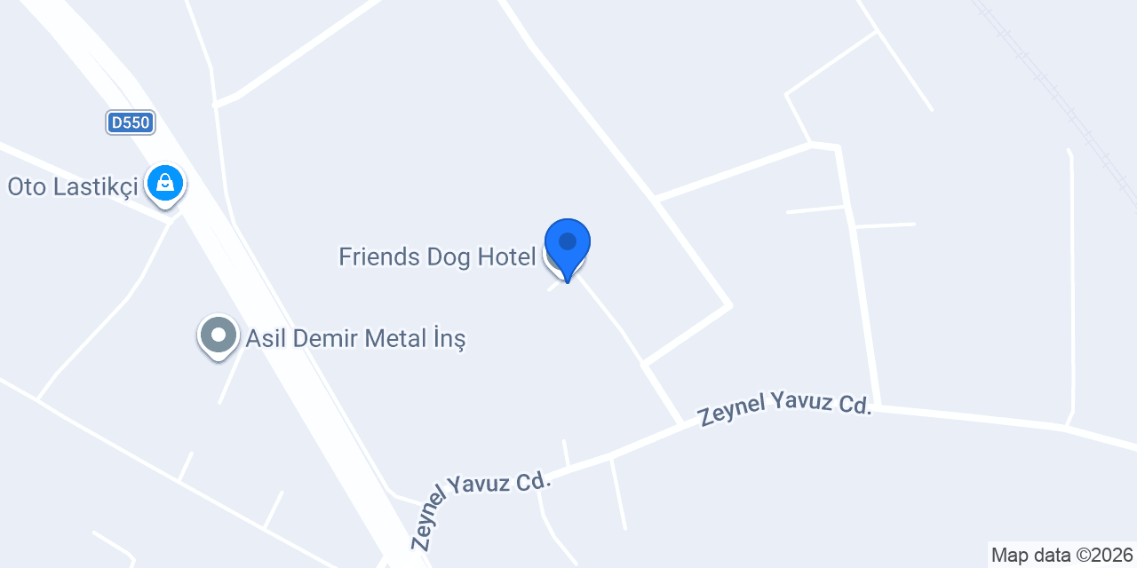 Friends Dog Hotel konumu