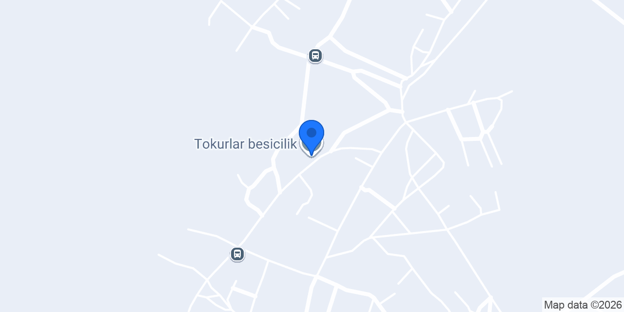 Tokurlar besicilik konumu