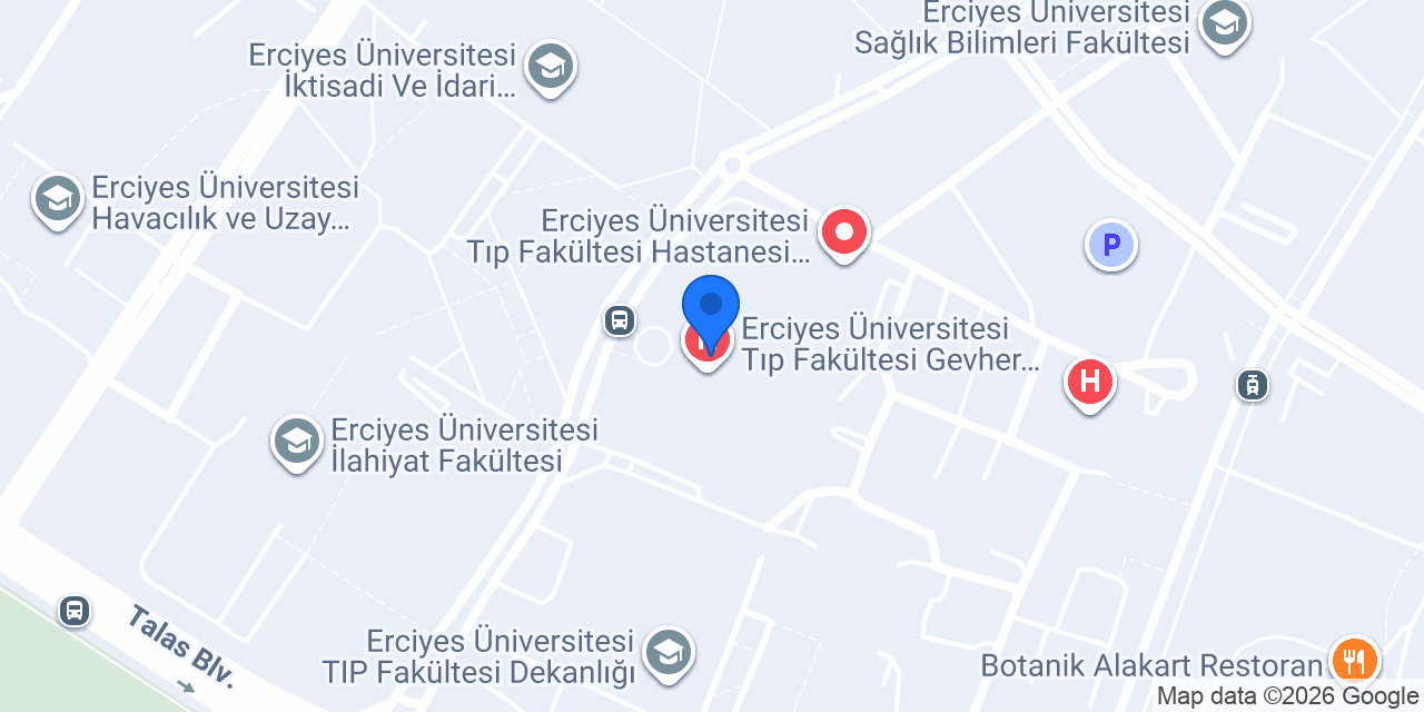 Erü Meme Konseyi konumu