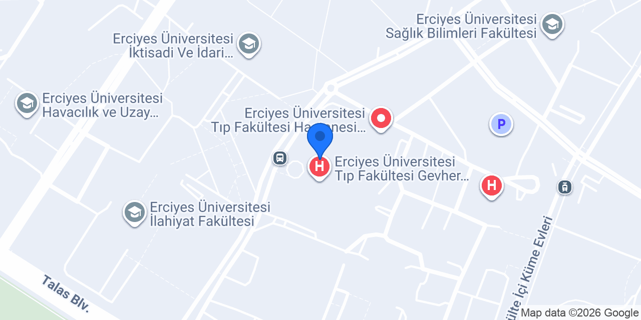 Doç. Dr. Hidayet Şener konumu