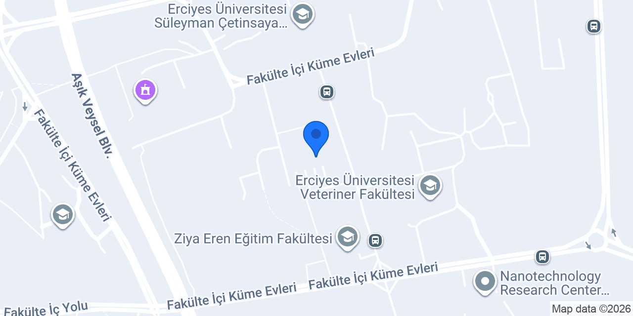 Kayseri Yaz Akademisi konumu