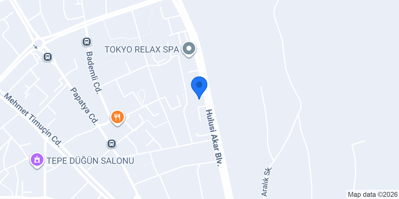 Otomatik Kapı Kayseri Pivot Otomasyon konumu