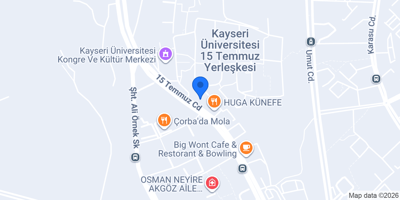 Pisa pizza konumu