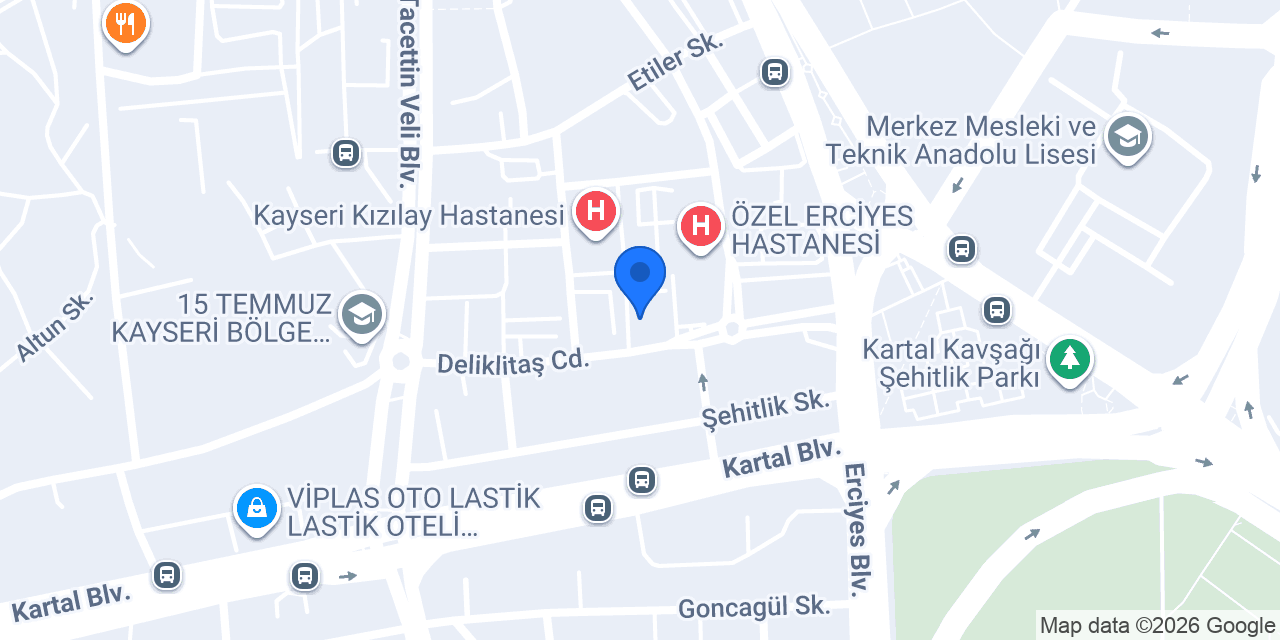 Fzt. Ferdane Hatipoğlu Manuel Terapi konumu