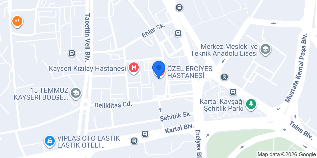 Doç.Dr. Ali Eray Günay konumu