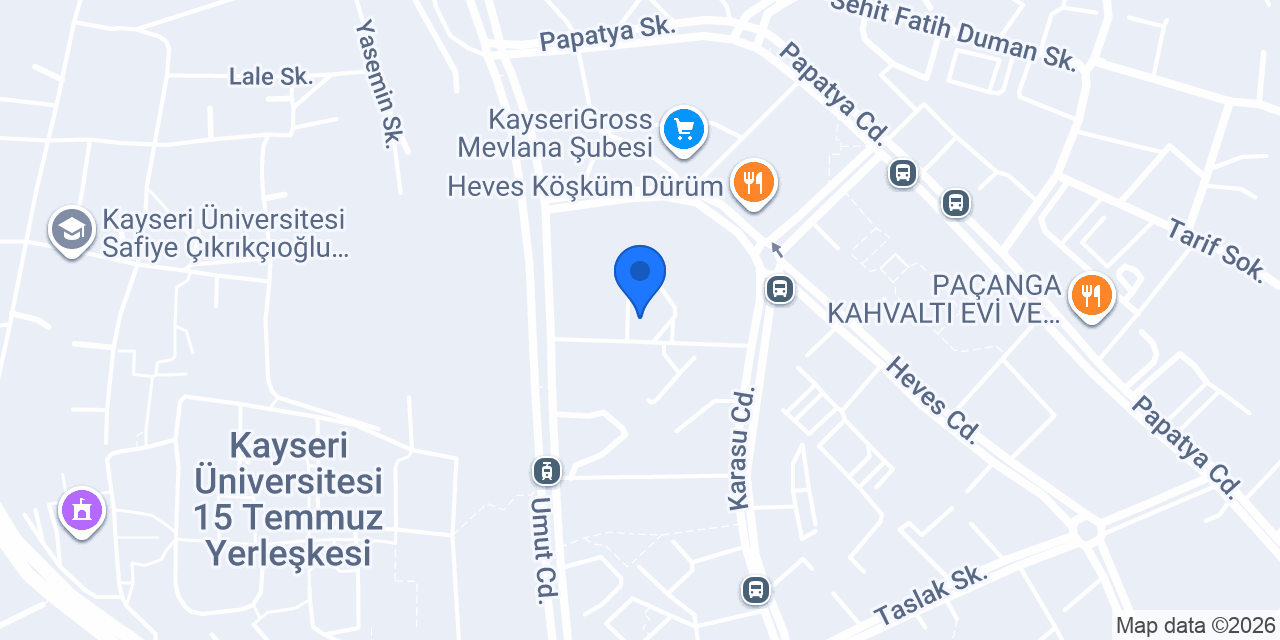 DÜNYA EMLAK TALAS konumu