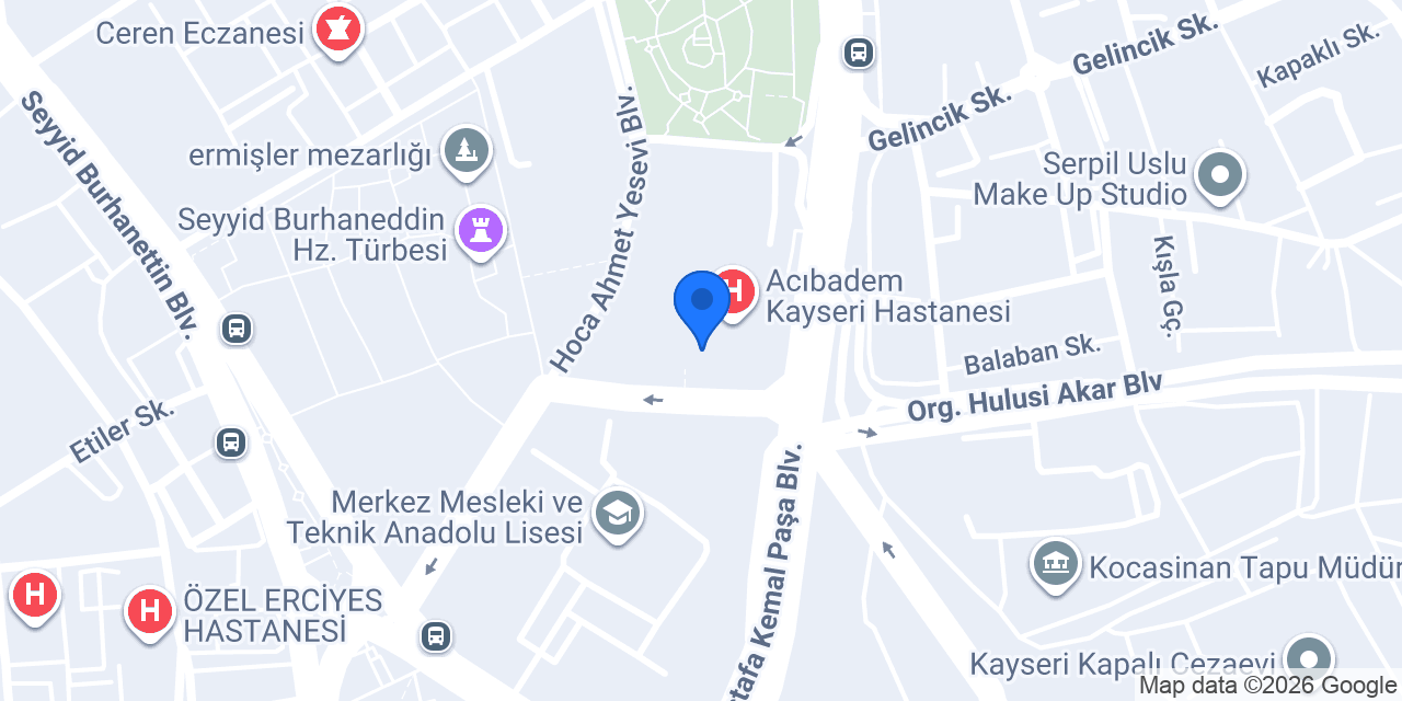Doç.Dr. Cüneyt Göçmez konumu