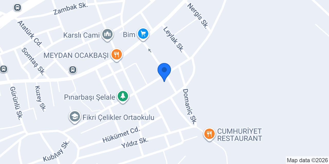 Erdoğan Doğan Taksi Pınarbaşı konumu