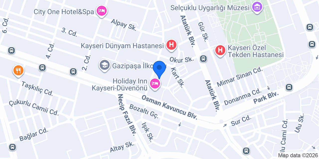 Raytrans Turizm Ltd. konumu