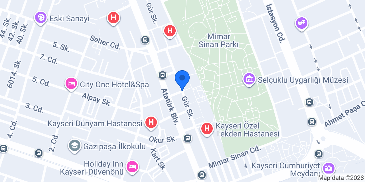 DESA HAVUZ konumu