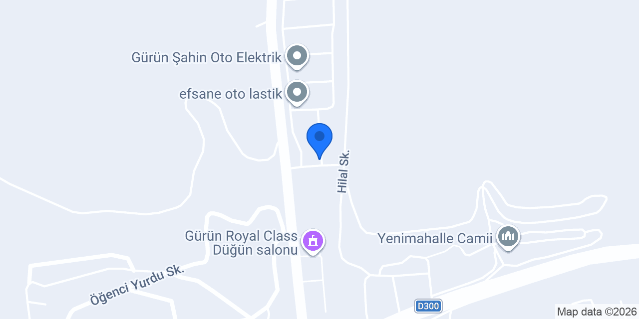 EFE AUTO SERVİCE konumu