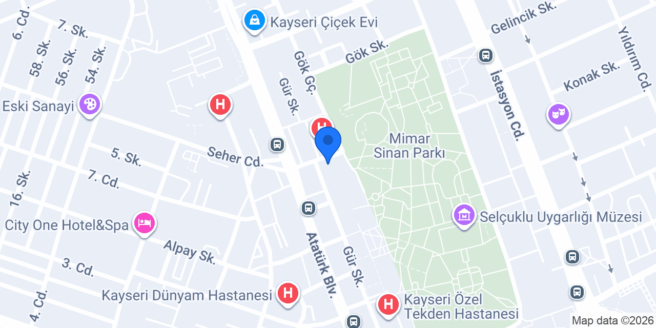 Nane Limon Eczanesi konumu