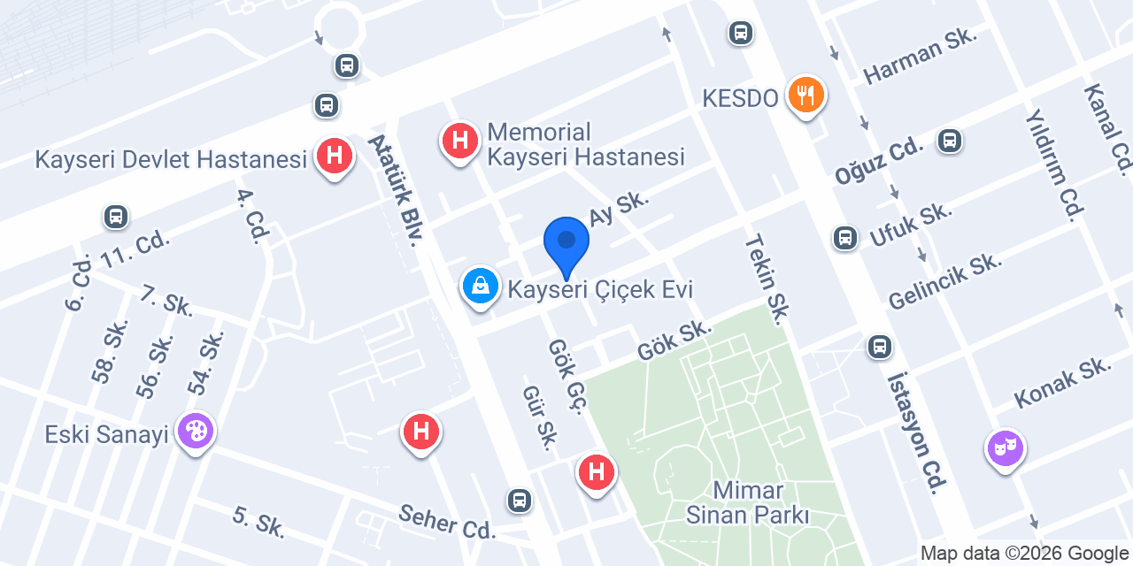 İz therapy academy konumu