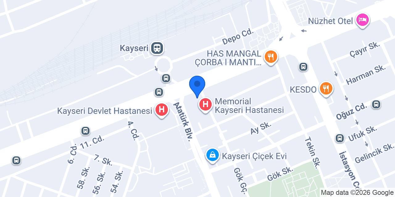 Kayseri Hediye ve Çikolata LİZİNGİFT konumu