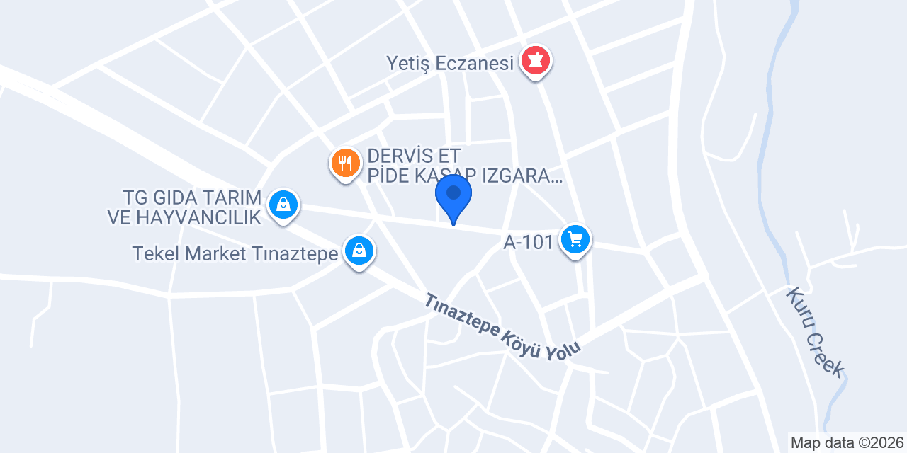 Tınaztepe Atatürk İlkokulu konumu