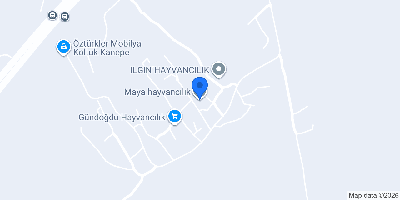 Maya hayvancılık konumu