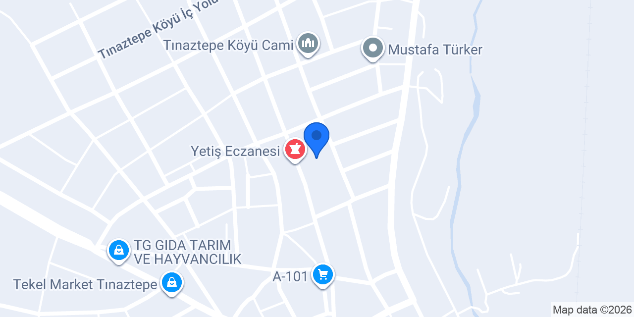 Tınaztepe Çok Programlı Lisesi konumu