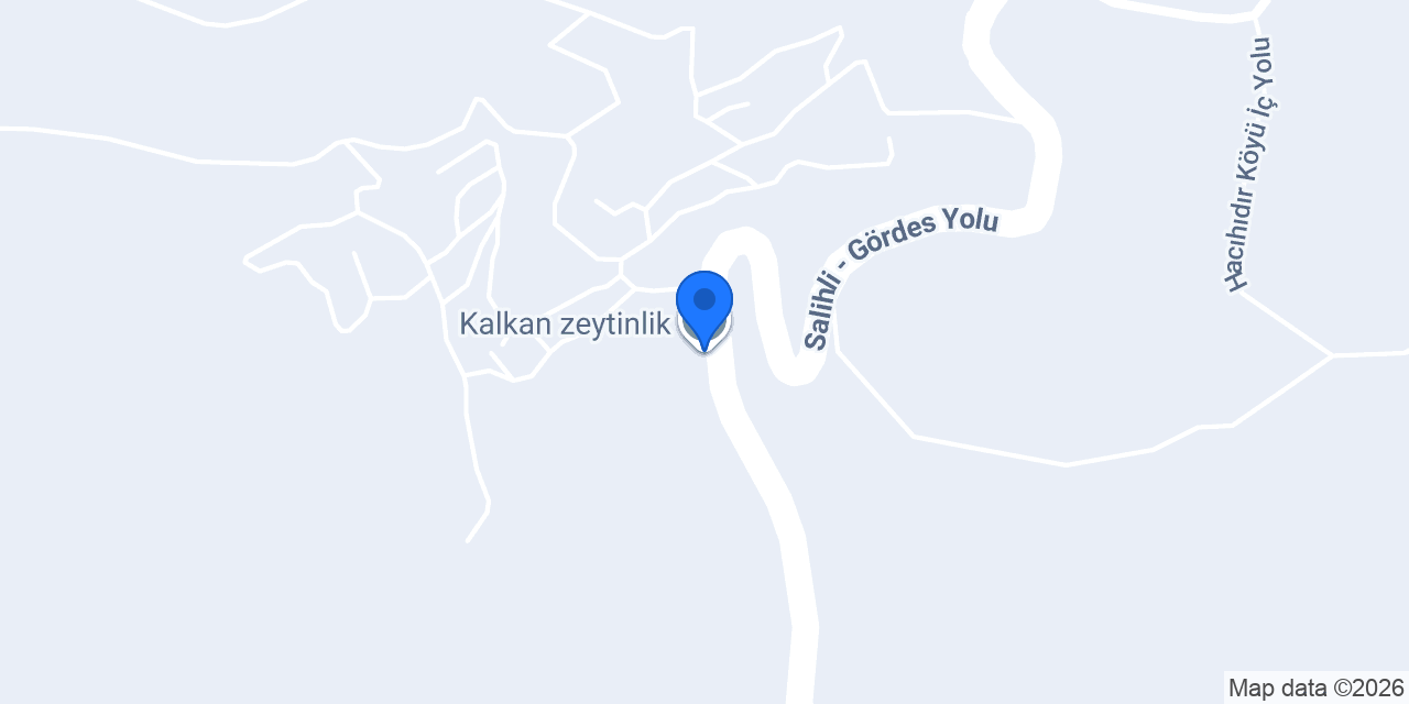 Kalkan zeytinlik konumu